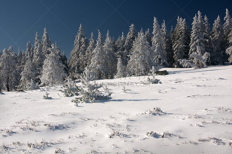 无人,法国,塞文山区,图像,户外,水平画幅,雪,罗泽尔,摄影