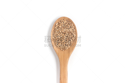 种子,汤匙,小麦,大麦,自然,褐色,水平画幅,无人,鸟类,膳食