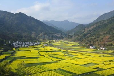 婺源,江西省,天空,水平画幅,景观设计,无人,蓝色,户外,黄色,中国