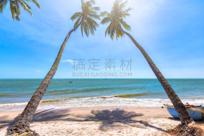 夏天,海滩,椰子树,日光,白昼,水,天空,气候,沙子,棕榈树