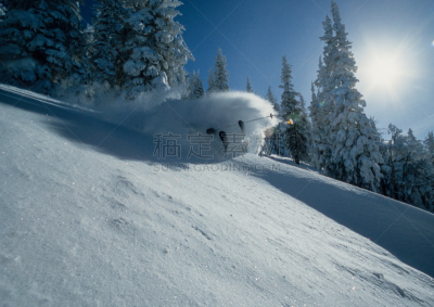 滑雪运动,粉末状雪,塔夷,水平画幅,怀俄明,人,户外,太阳,冬天,滑雪杖