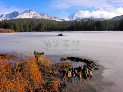 冻结的,树桩,曼扎尼塔湖,公园,水平画幅,无人,石兰科常绿灌木,户外,冰,湖