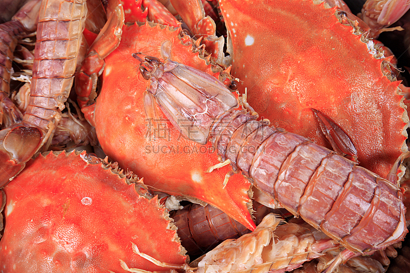 螃蟹,清新,螯虾,食品,蒸菜,煮食,动物,贝壳,对虾,爪