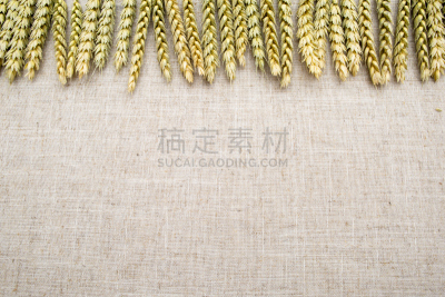 纺织品,自然,小麦,背景,亚麻布,美,水平画幅,干花,夏天,干的