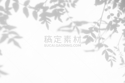 灰色,阴影,白色,叶子,墙,平视角,暗色,枝繁叶茂,草,植物