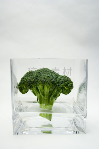 有机食品,西兰花,垂直画幅,素食,十字花科,无人,生活方式,蔬菜叶,蔬菜