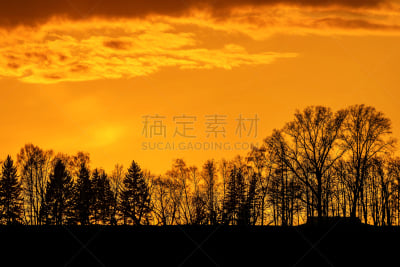 天空,橙色,云,火砂小溪,田纳西,日落时分,美,水平画幅,树,日落
