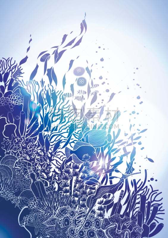 礁石,式样,海草,水族馆,鱼缸,水下,鱼类,海藻灰,生物学,深的