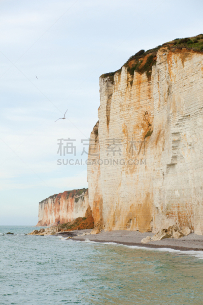 法国,悬崖,达拉斯,风景,垂直画幅,水,天空,上诺曼底,无人,鸟类