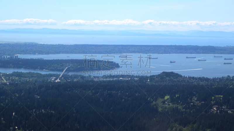 太平洋,看风景,格劳斯山,非凡的,伦敦城,温哥华,南部海岸山脉,北温哥华,史坦利公园,松鸡