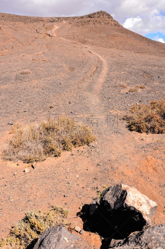 西班牙,加那利群岛,鸡尾酒,地形,火山,欧洲,自然,垂直画幅,热带气候,图像