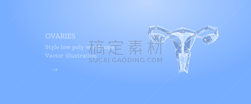 健康保健,几何形状,绘画插图,卵巢,抽象,公亩,分离着色,蓝色背景,剪影