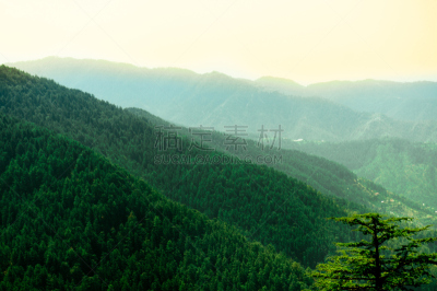 西姆拉,有包装的,山脉,美,公园,水平画幅,枝繁叶茂,山,无人,喜马拉雅山脉