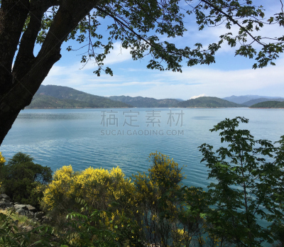 萨斯塔湖,自然,水,美国,湖岸,水平画幅,地形,无人,全景,夏天
