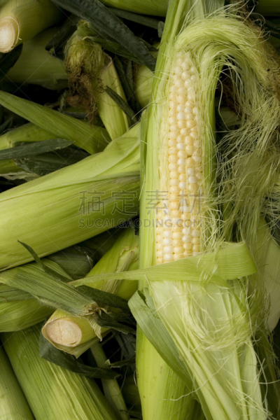 玉米,可布,垂直画幅,无人,有机食品,市场,农产品市场,蔬菜,谷类,摄影