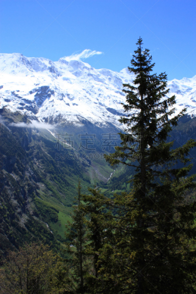 瑞士,基米尔沃尔德,米伦莫伦,威特洪山,施雷克峰,劳特布龙嫩,因特拉肯,少女峰,垂直画幅,山