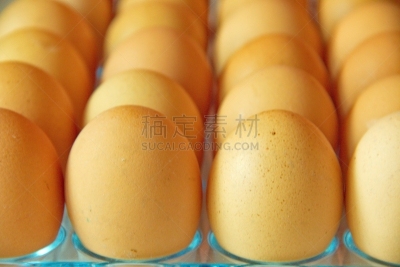 特写,蛋,大量物体,点缀蝴蝶鱼,沸腾的,褐色,早餐,水平画幅,鸡蛋,家禽