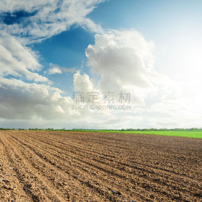 在上面,田地,农业,黑色,云,耕地,耕犁,天空,泥土,草