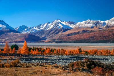新西兰,山,风景,天空,美,褐色,新的,水平画幅,雪,无人