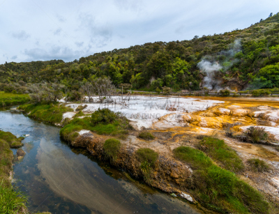 Waimangu Thermal Park,新西兰,山谷,火山,罗托鲁阿,硅石,硫磺,水平画幅,无人,生长