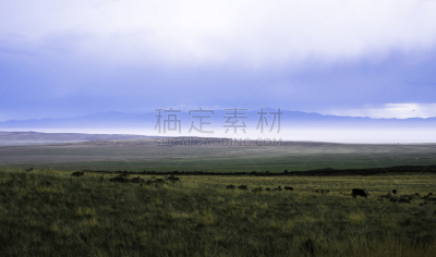 犹他,春天,2018,天空,美国西部,水平画幅,雪,无人,早晨,户外
