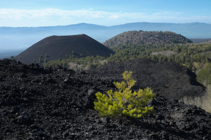 山,熔岩,埃特纳火山,火山,西西里,松果,公园,水平画幅,无人,火山地形