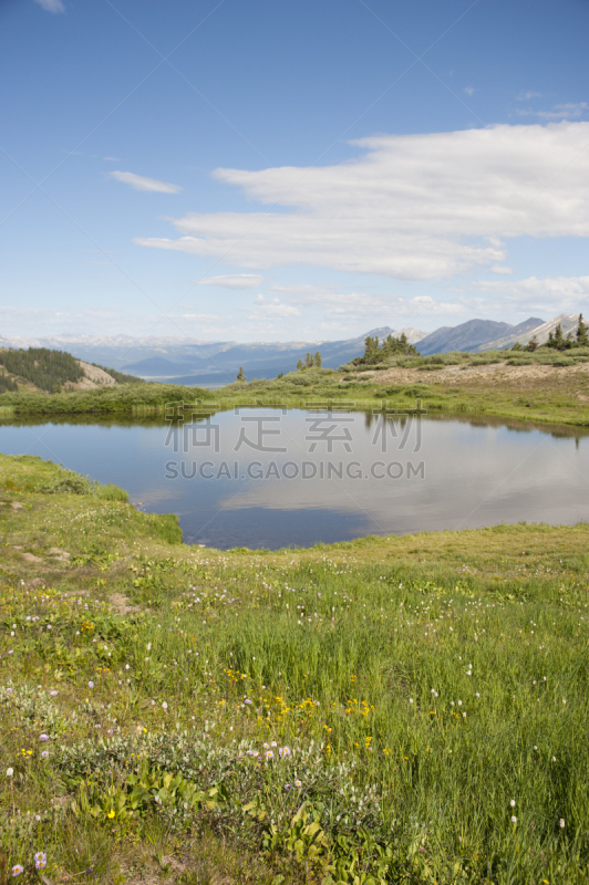 卡顿山口,风景,撒瓦琪山脉,大陆分水岭,荞麦,垂直画幅,天空,留白,洛矶山脉,无人