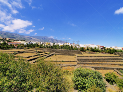 金字塔形,特内里费岛,托尔海尔达尔,天空,台阶,古代文明,水平画幅,无人,古老的,大西洋
