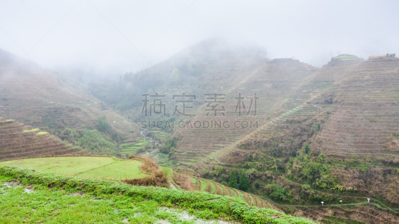 梯田,山,高视角,龙脊山,龙脊梯田,龙胜,桂林,水稻梯田,稻田,水平画幅