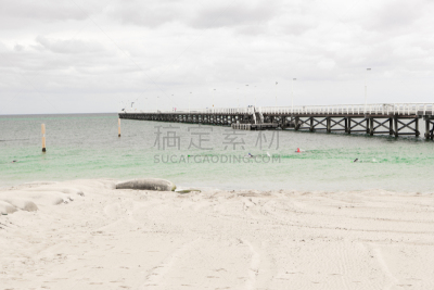 西澳大利亚,布塞尔顿,栈桥码头,水平画幅,沙子,无人,夏天,量表,建筑业,海滩