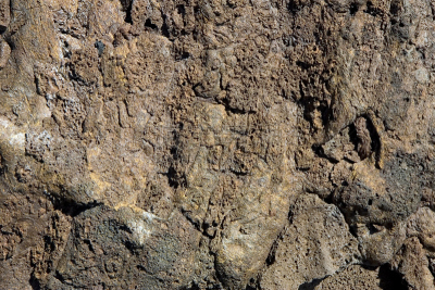 火山岩,褐色,兰萨罗特岛,水平画幅,风化的,无人,大西洋群岛,特写,石头,固体