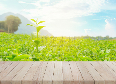 茶树,空的,桌子,木制,背景,水平画幅,无人,古老的,户外,乡村风格
