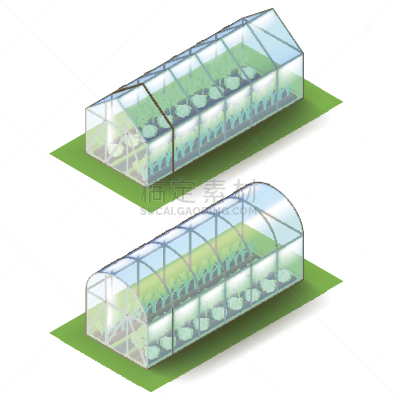 温室,矢量,分离着色,白色,照相写实主义,等角投影,农业,蔬菜,背景分离,食品