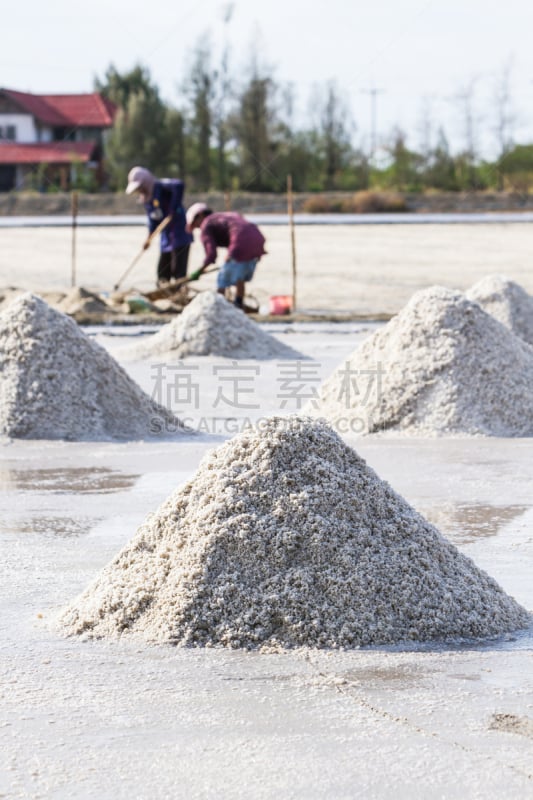 盐,农民,盐滩,公亩,垂直画幅,水,盐湖,工厂,夏天,户外