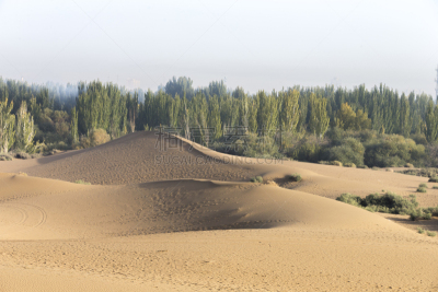 库木塔格沙漠风景区,塔克拉玛干沙漠,留白,水平画幅,沙子,无人,陆用车,阴影,户外,干的