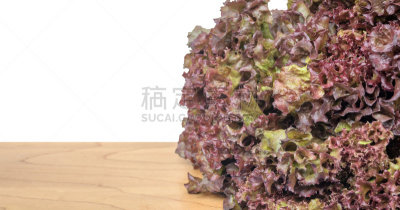 木制,分离着色,桌子,营养阶段,水平画幅,素食,无人,特写,莴苣,晚餐
