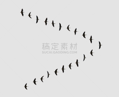 一群鸟,鸟编队飞行,雁属,英文字母V,兽群,V形,动物迁徙,天空,水平画幅,形状