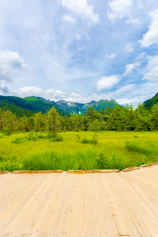 观测点,山,草地,v形,日本阿尔卑斯山脉,长野县,垂直画幅,留白,里山,无人