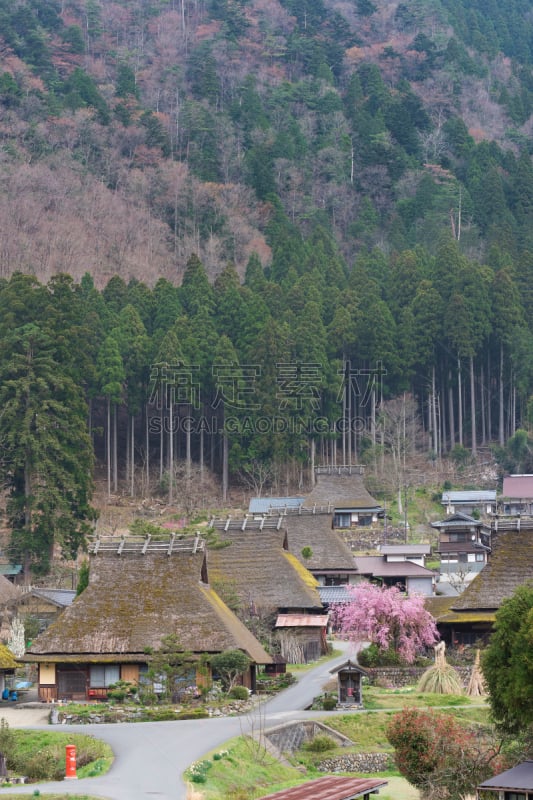 美山,京都府,地形,乡村,日本,茅屋屋顶,京都市,垂直画幅,里山,山