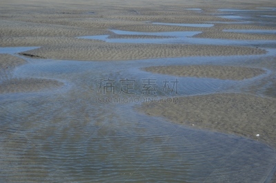 圣西蒙岛,水湾,圣伯纳犬,圣马洛,自然,海岸线,美国,水平画幅,退潮,摄影