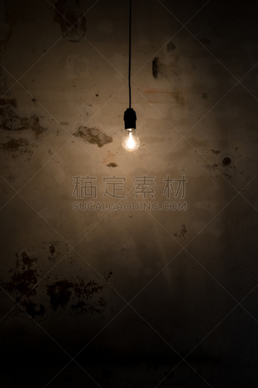 电灯泡,垂直画幅,留白,新的,面无表情,能源,古典式,复古风格,电源,想法
