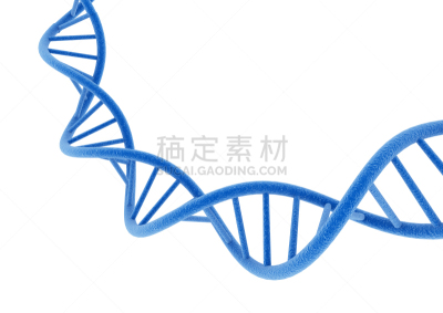 白色背景,分离着色,脱氧核糖核酸,空白的,美国,水平画幅,无人,核糖核酸,蓝色,符号