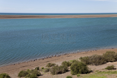 水平画幅,海滩,麦哲伦海峡企鹅,动物群,南美,天空,无人,鸟类,企鹅,大西洋
