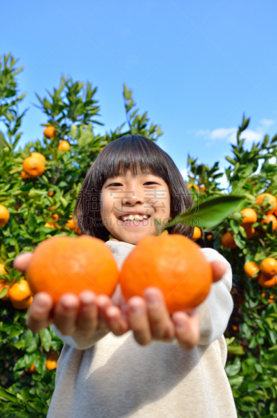 橙子,温州蜜柑,桔子,小学生,垂直画幅,天空,青少年,留白,半身像,户外