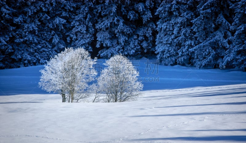 山脉,冬天,lake spitzingsee,越野滑雪,脚印,寒冷,云,雪,云杉,松树