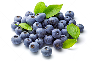 蓝莓,饮食,水平画幅,绿色,水果,无人,浆果,白色背景,熟的,背景分离