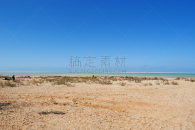 索科特拉岛,海滩,岛,沙漠,名声,莫斯特,一只动物,亚丁湾,阿拉伯海,也门