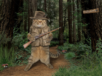 猫,猎人,森林,看守人,私人财产标志,宠物服装,马甲,水平画幅,枝繁叶茂,无人