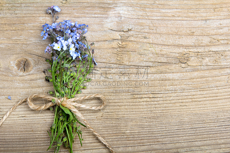 勿忘我 留白 木制 背景 黑色 缎带 高山勿忘草 垂直画幅 美 边框图片素材下载 稿定素材