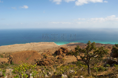 索科特拉岛,阿拉伯海,山,岛,视角,非凡的,摄像机拍摄角度,在上面,树